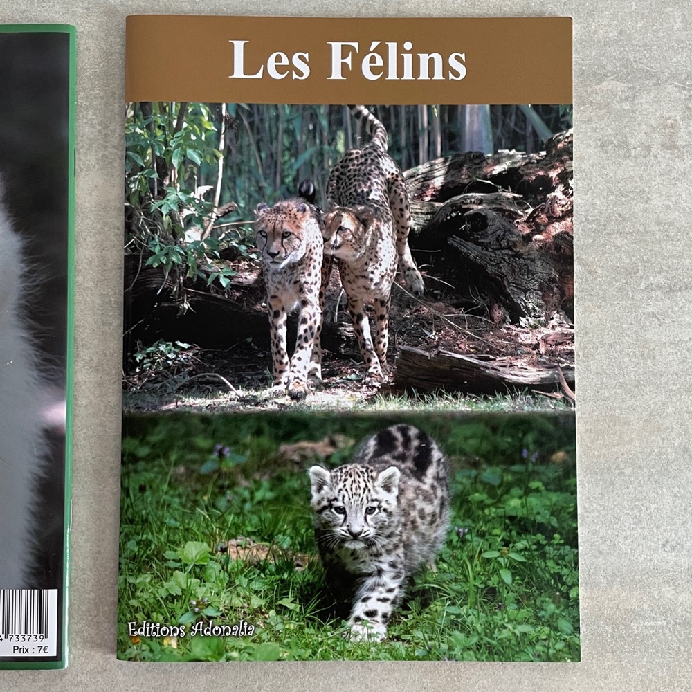 Editions Adonalia Le Loup & Les Félins livret de zoo animaux enfants - Picture 4 of 9